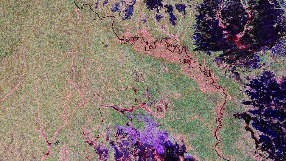 Recorte de una imagen de radar de banda P de la Amazonia en el norte de Brasil, con humedales en tonos rosados y bosque inundado en tonos azules y violetas