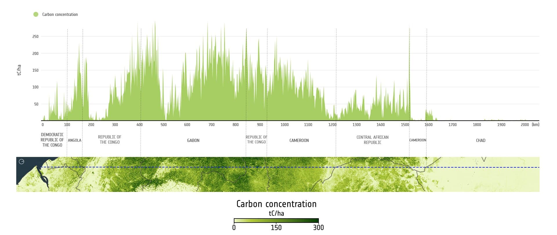 Biomass, el primer radar de banda P en órbita, ya entrega datos abiertos para medir el carbono que guardan los bosques