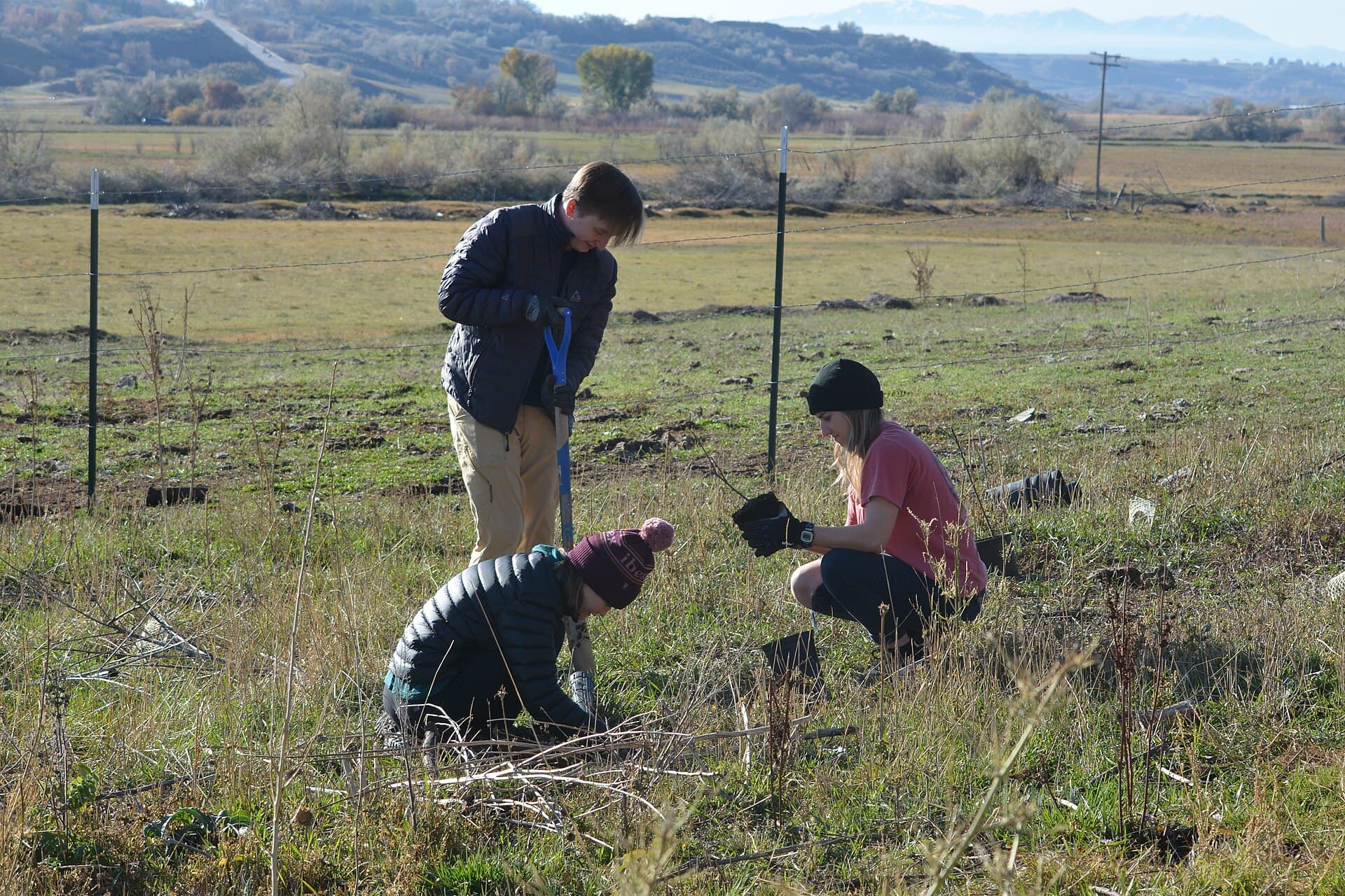 Personas plantando árboles juntas en una jornada de restauración