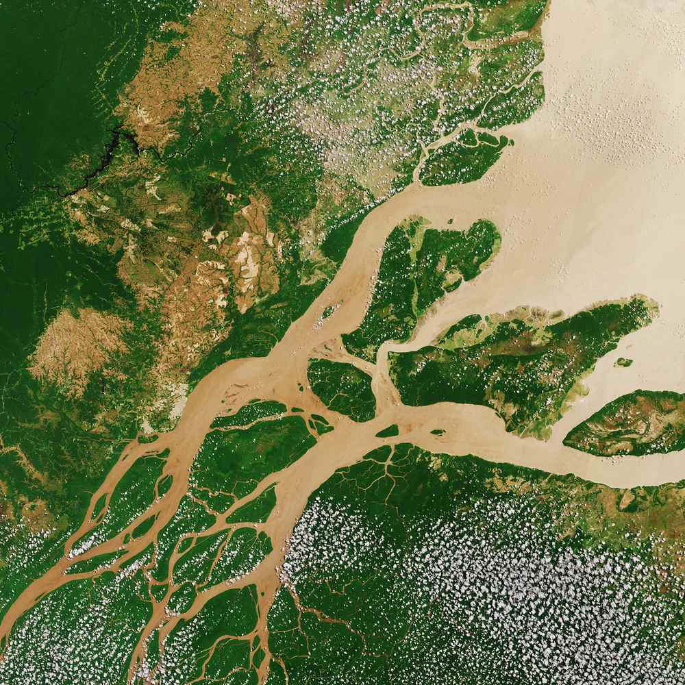 Imagen satelital del río Amazonas y el bosque circundante