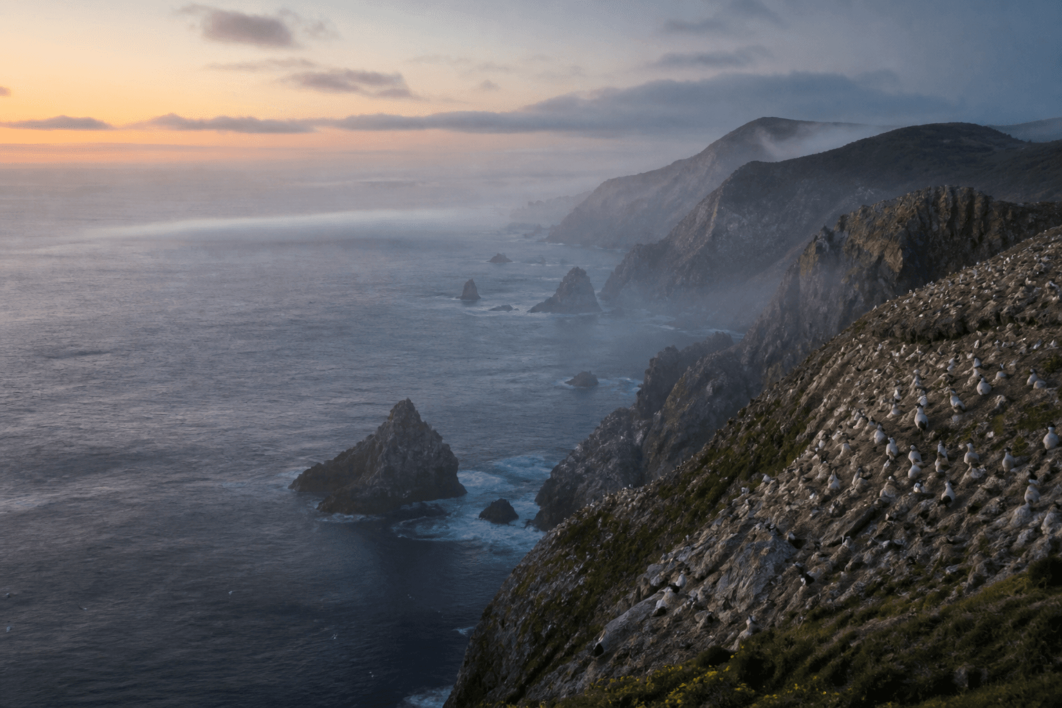 Un modelo genético calcula que 250 ratones bastarían para borrar una plaga de 200.000: el gene drive que promete limpiar islas sin veneno