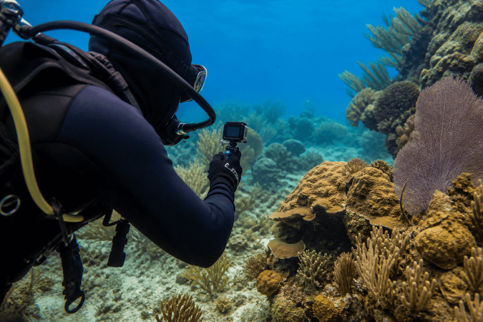 Buzo filmando un transecto de video sobre un arrecife de coral caribeño con una cámara de acción compacta