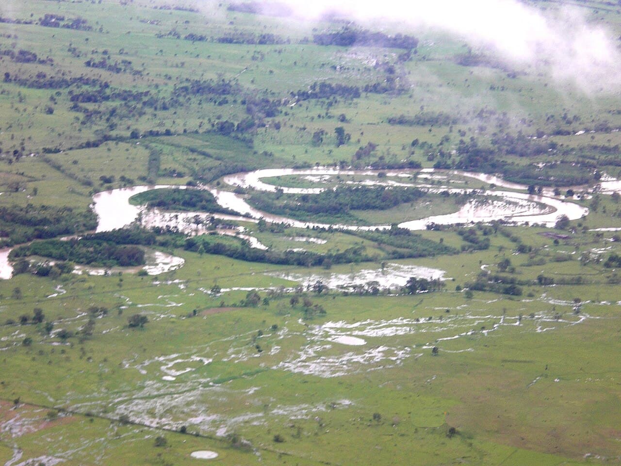 Vista aérea de un meandro del río Atrato rodeado de vegetación e inundaciones temporales