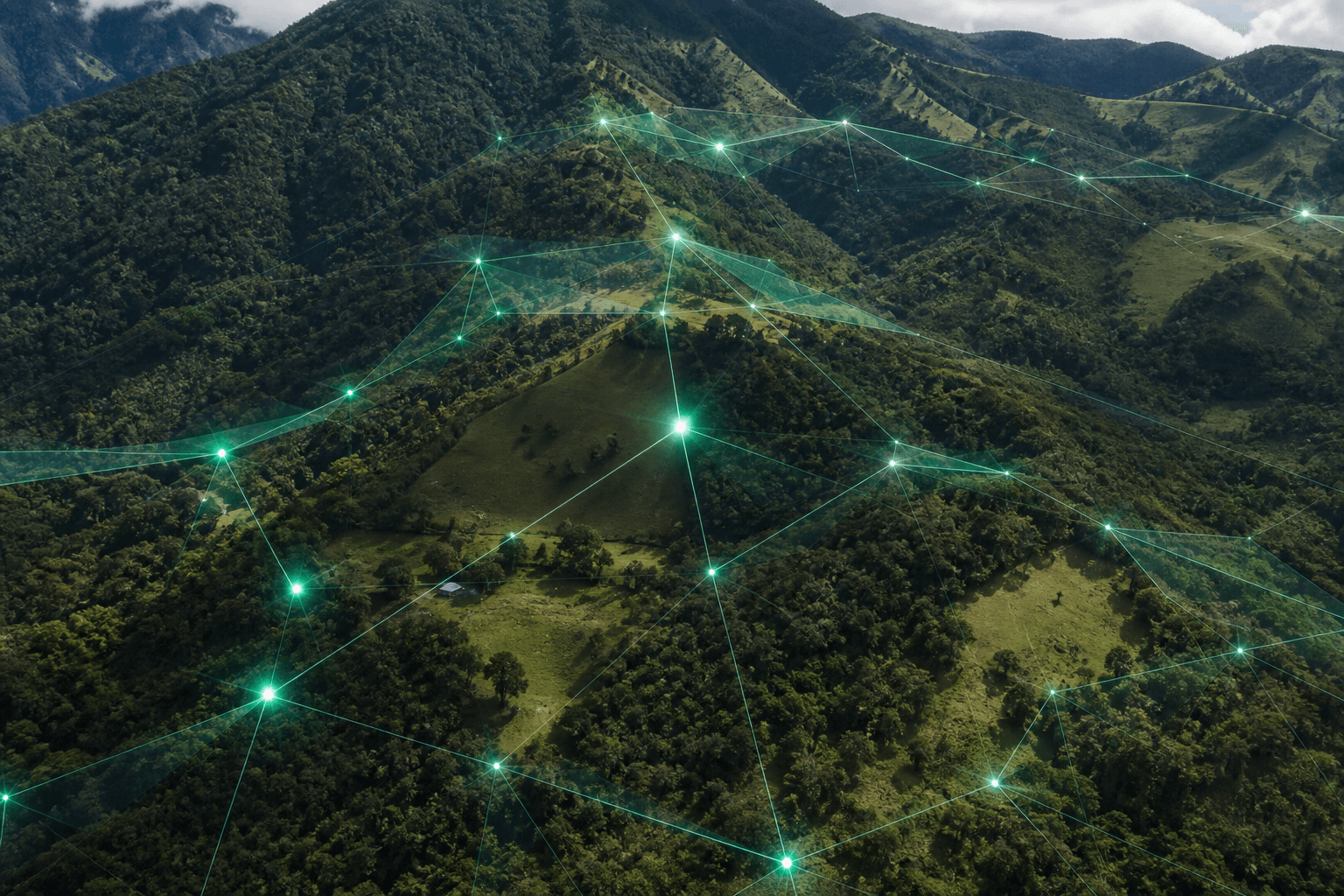 Visualización de una red de conectividad ecológica con nodos y conexiones luminosas superpuesta sobre un paisaje de montaña colombiano