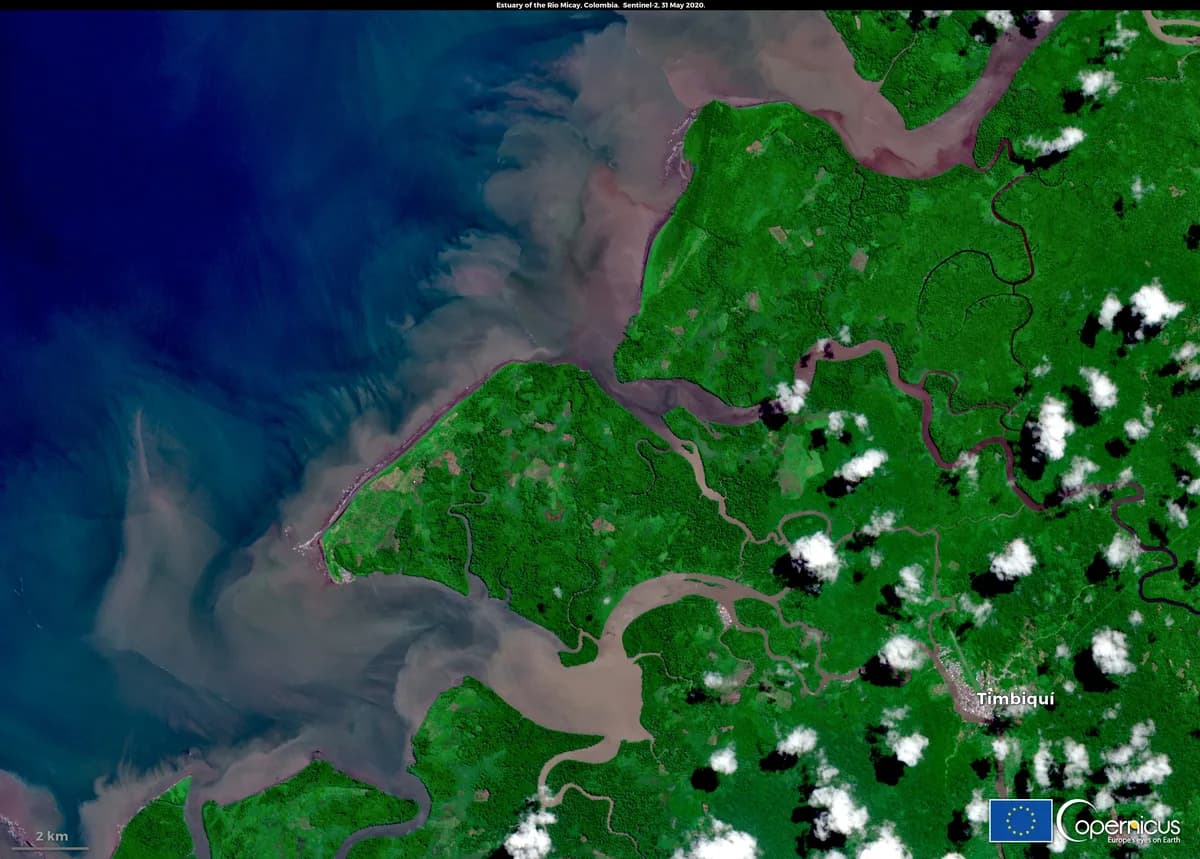 Imagen satelital de un estuario en la costa pacífica de Colombia