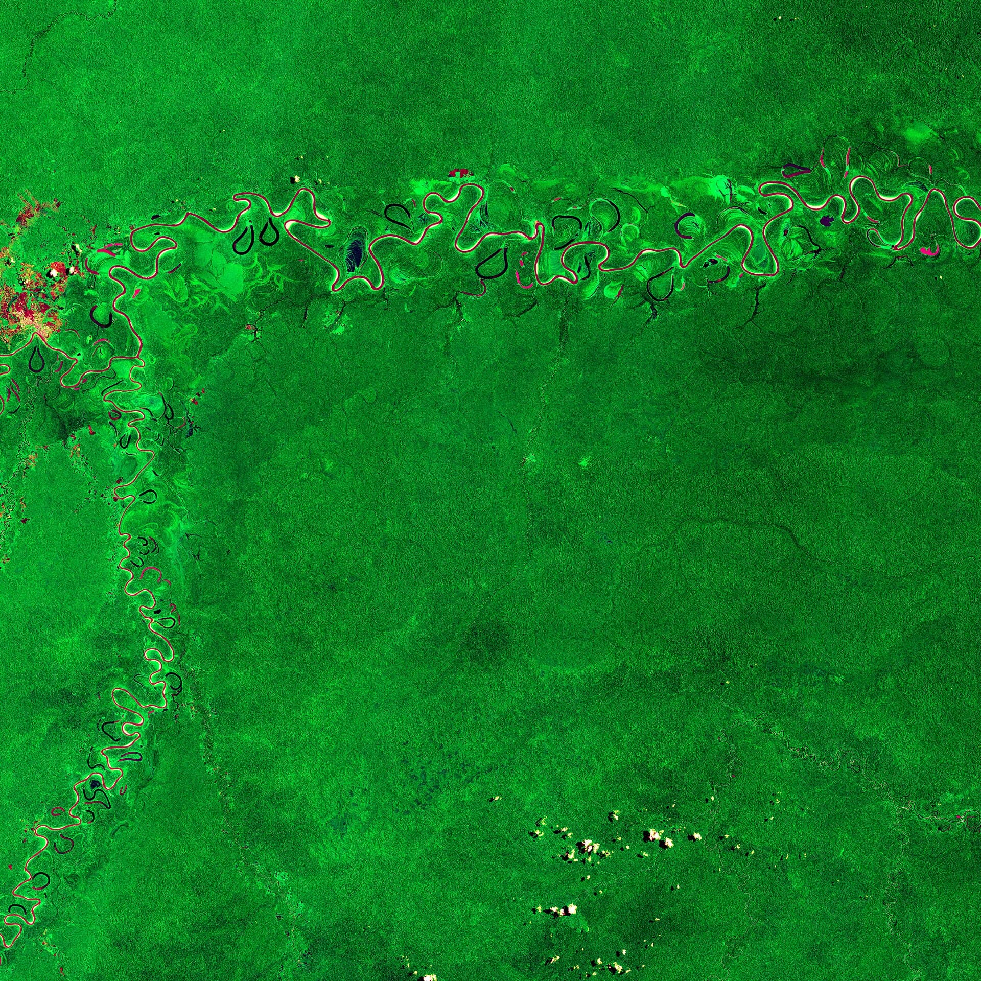 Los satélites ya miden bien el bosque, pero no toda la biodiversidad: lo confirma la primera gran revisión científica del tema