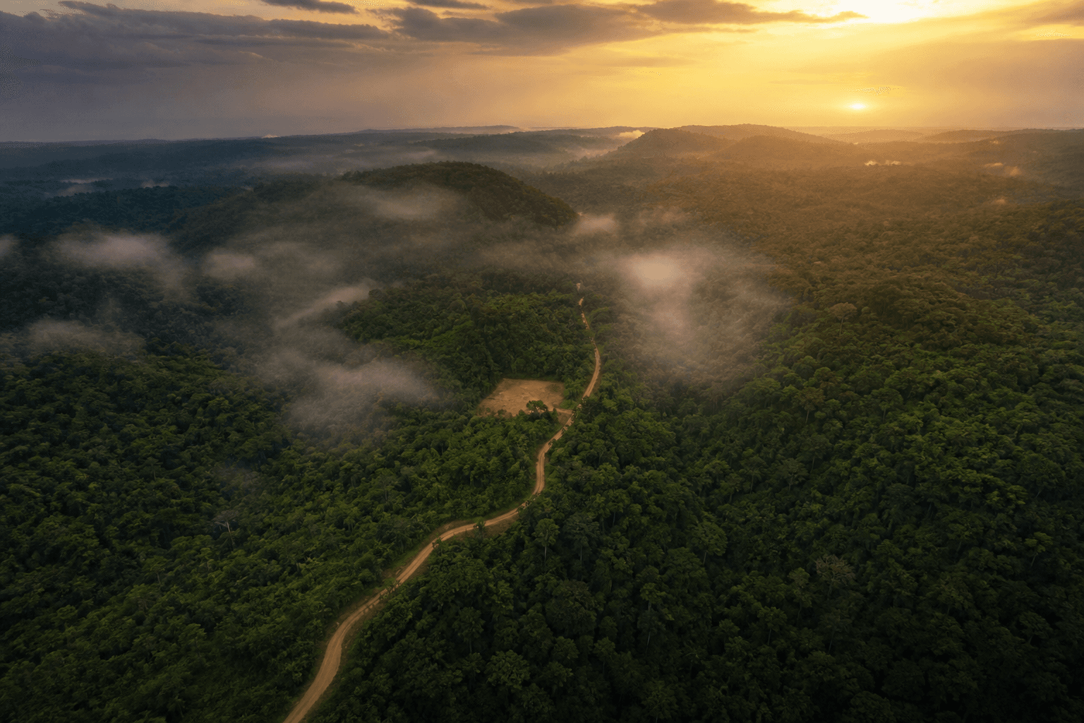 Vista aérea de selva tropical al atardecer con un camino de tierra serpenteando y niebla entre los valles