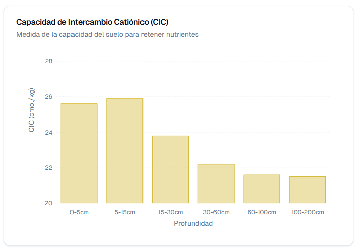 Suelo: Intercambio catiónico