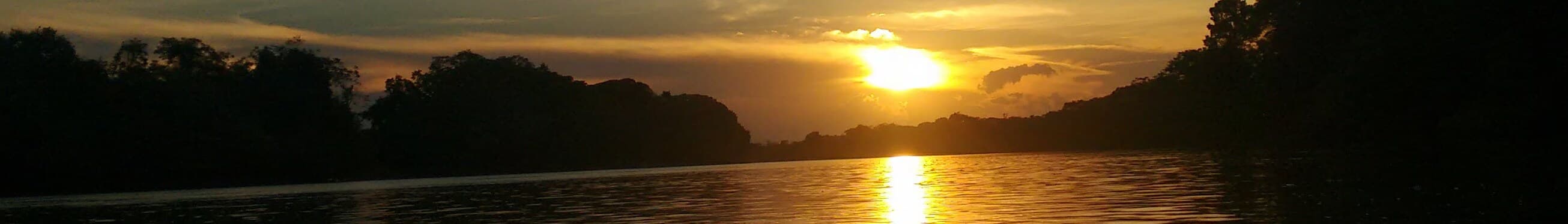 La deforestación creció 146% dentro de los parques nacionales de Colombia entre 2023 y 2024