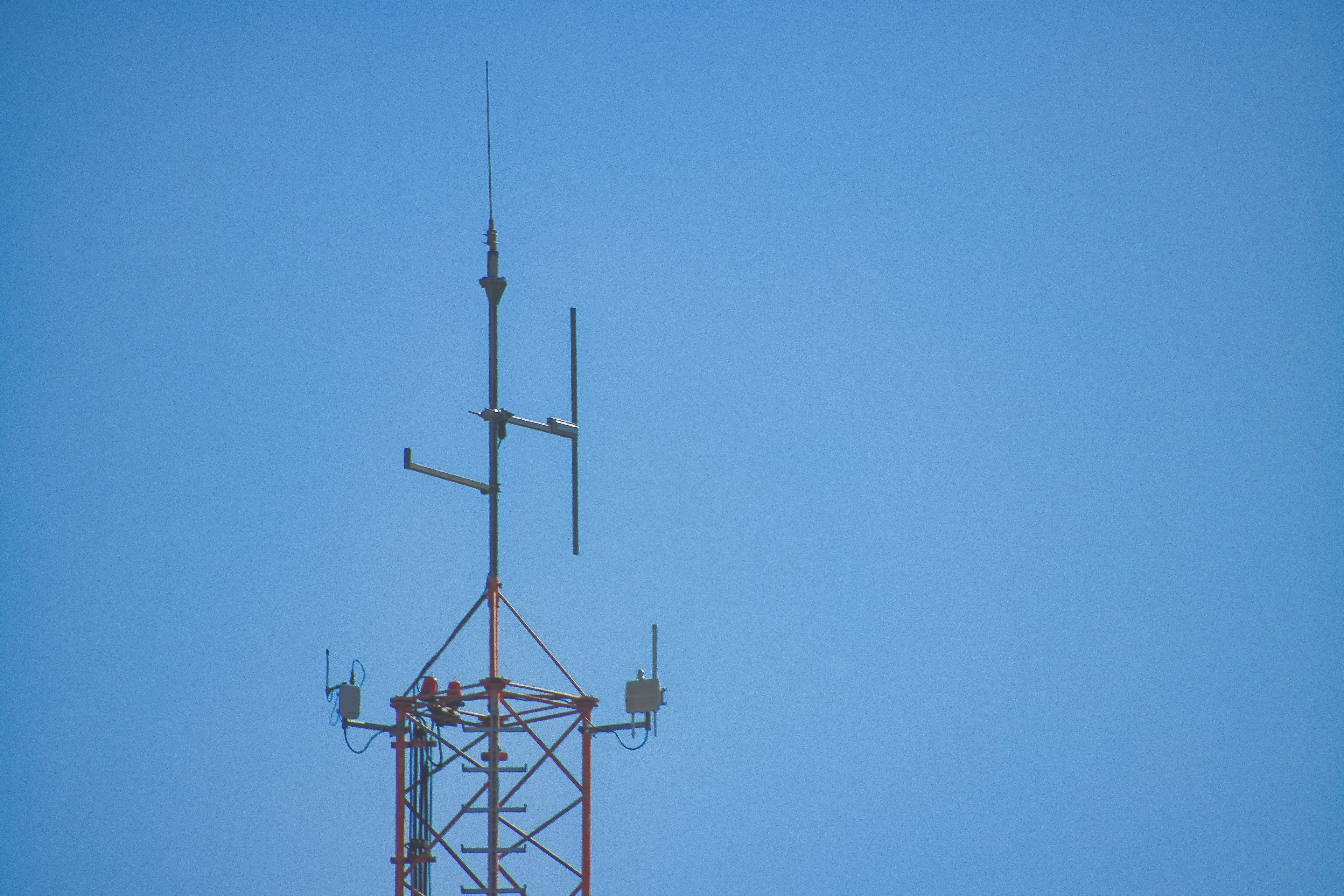 El sensor implantado en el cuerno de un rinoceronte ya transmite su ubicación sin gastar ni un megabyte de internet