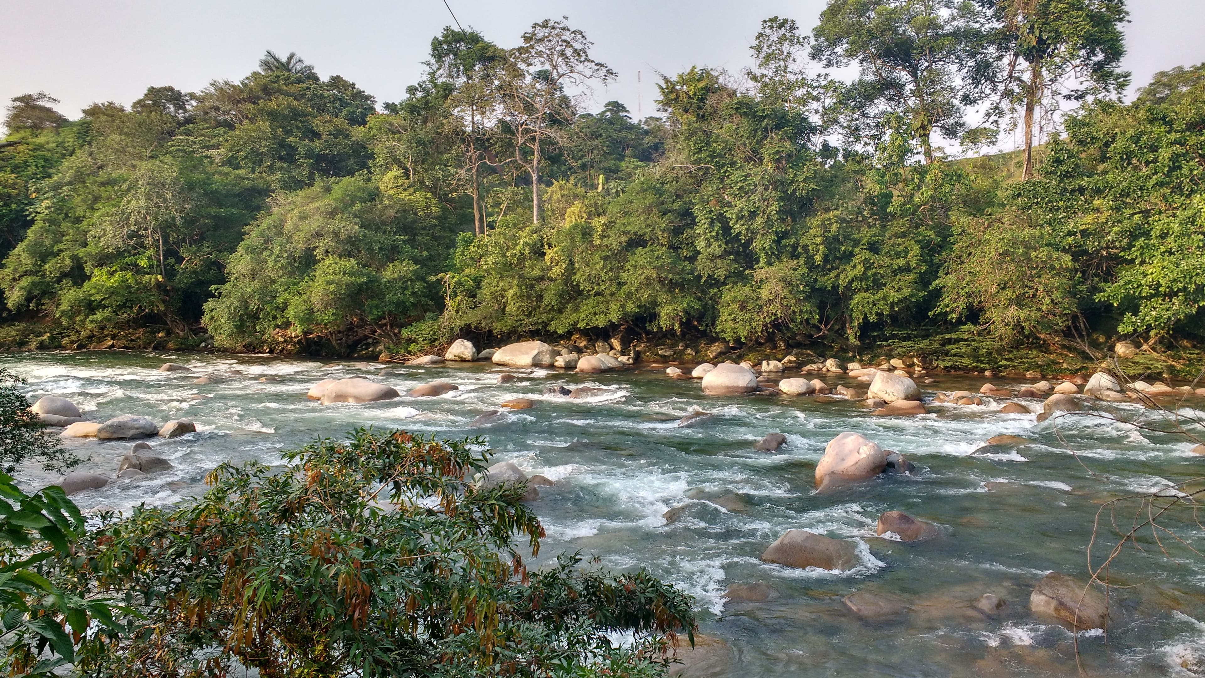 La cifra oficial de deforestación 2025 en Colombia ya salió: 119.483 hectáreas