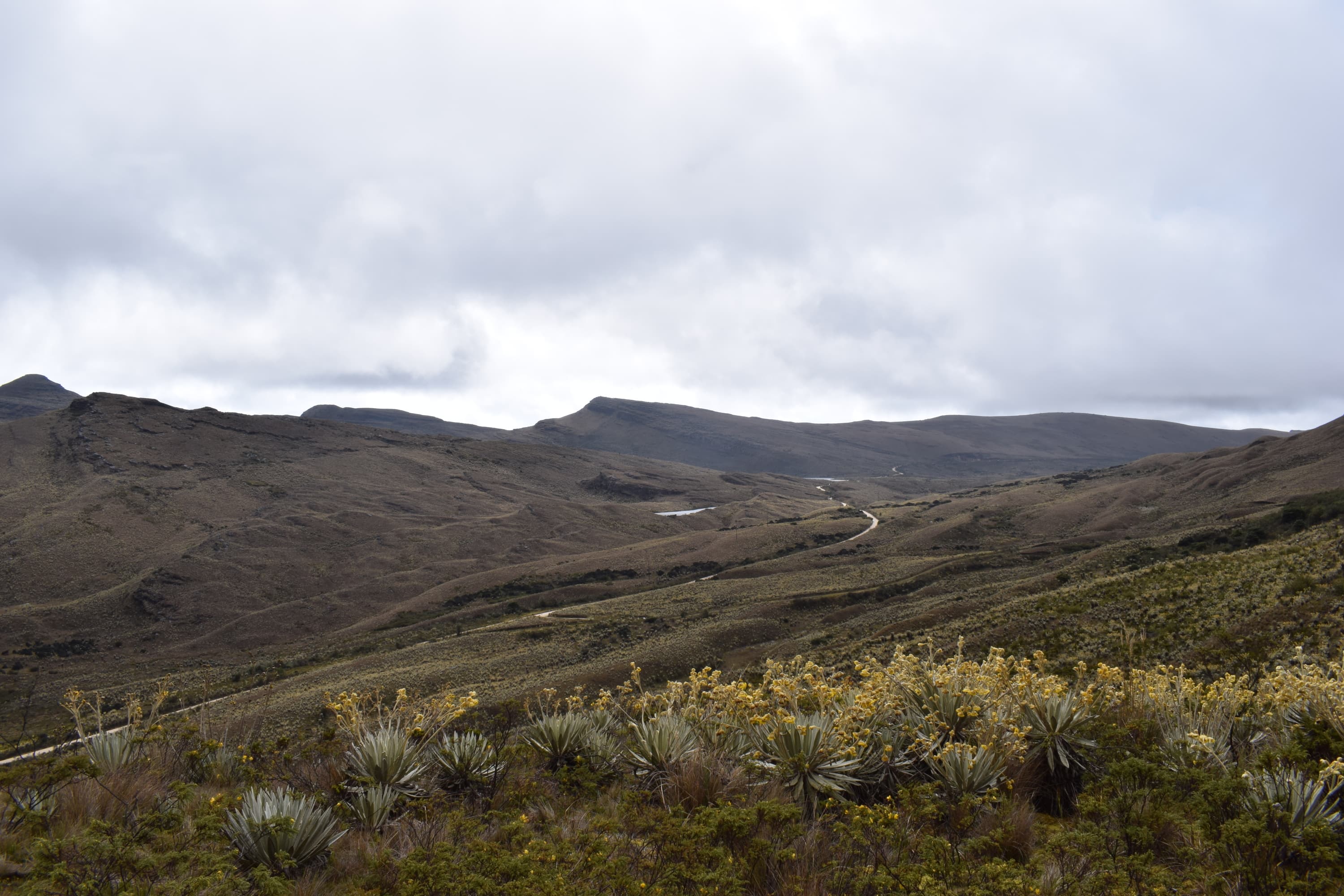 Colombia delimita el páramo más grande del mundo: lo que cambia en Cruz Verde-Sumapaz tras una década de trámite