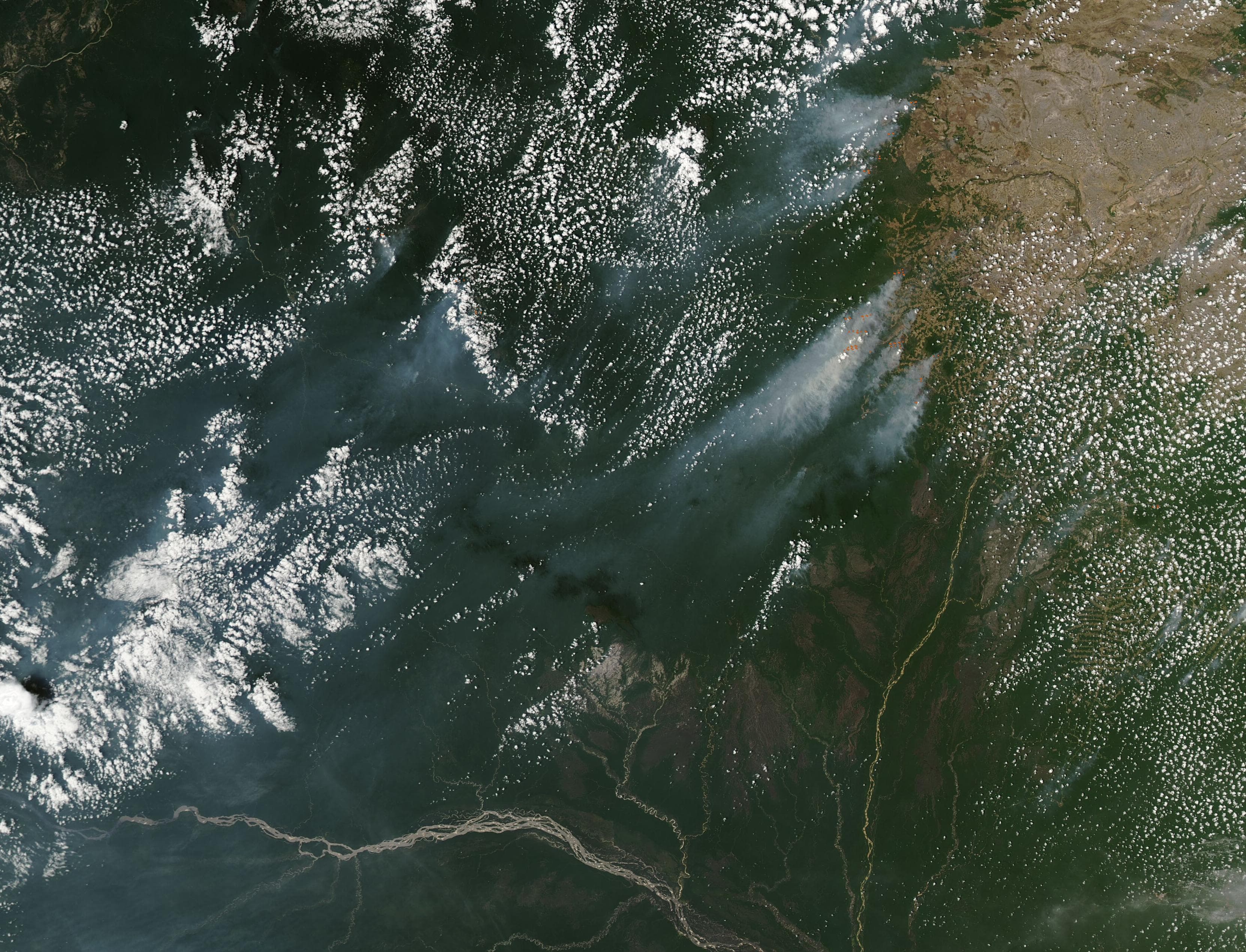 FireSat ya está en órbita: satélites que detectan un incendio del tamaño de un salón de clase