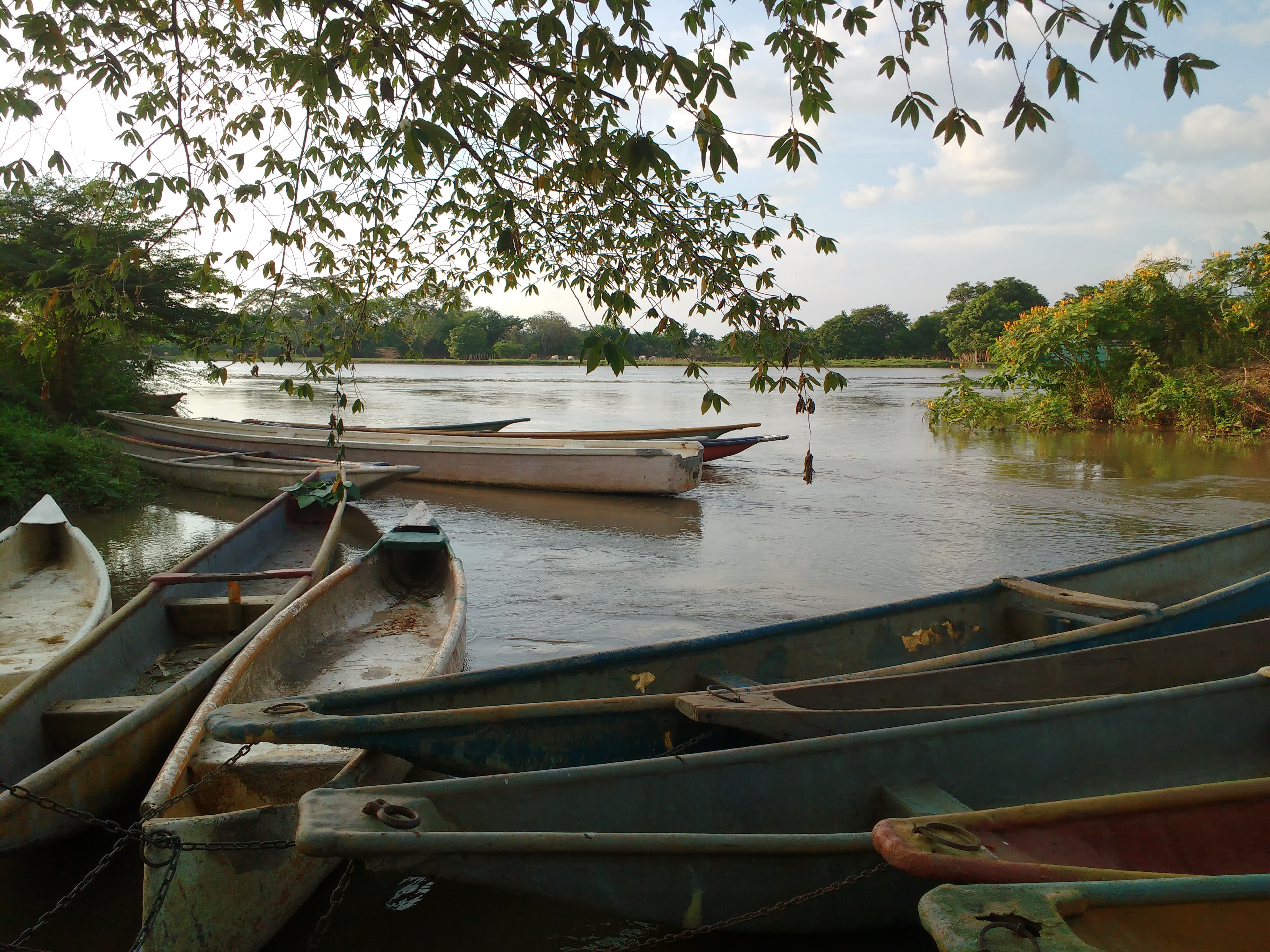 La ANLA exigió tres veces una licencia ambiental nueva para el Canal del Dique: en agosto revocó las tres