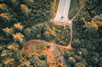 Fondo de Diseño del Paisaje 1