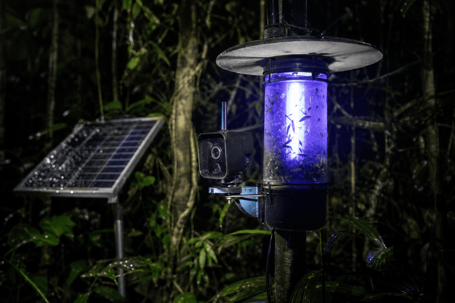 Una trampa de luz solar con cámara e IA vigila insectos toda la noche, sin que nadie tenga que revisarla