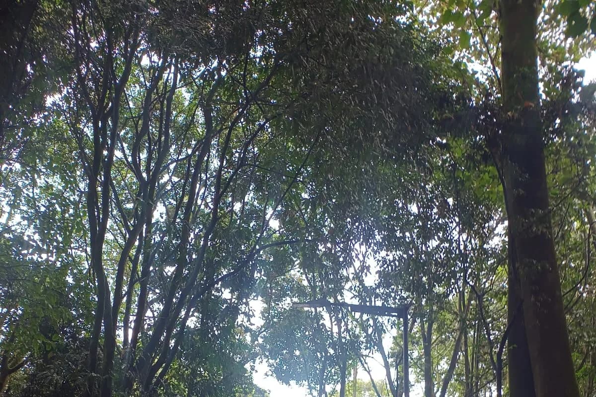 Avenza Maps ya no es gratis: qué opciones tienen los equipos de campo ambientales