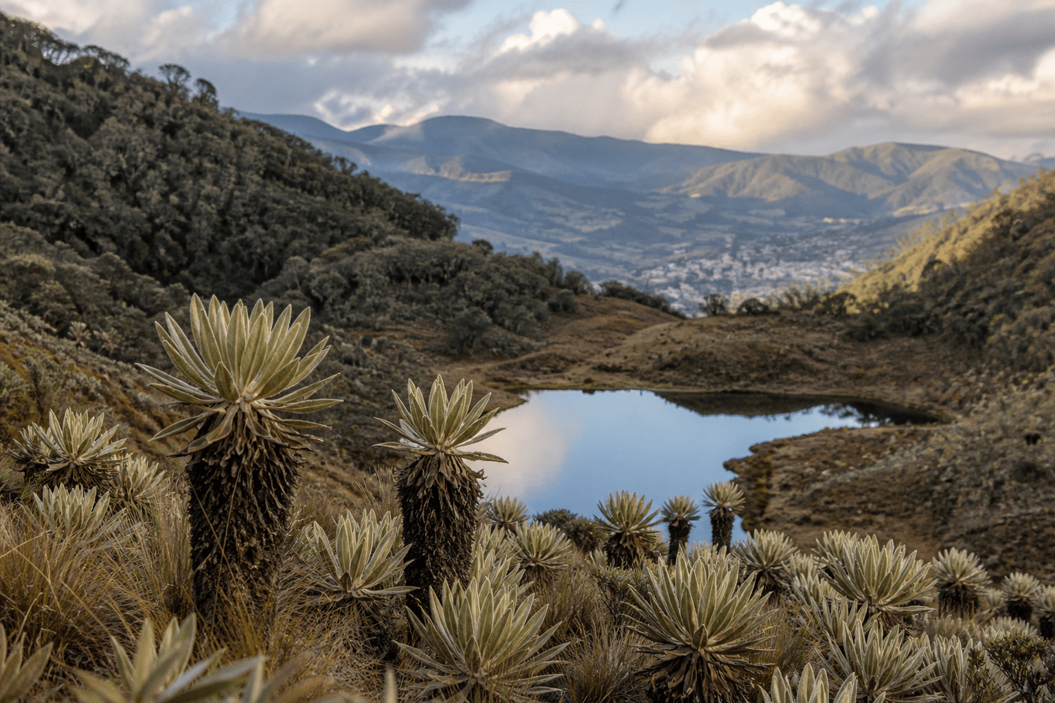 Estructura ecológica principal: qué dice la norma, qué la compone y cómo entra en un POT
