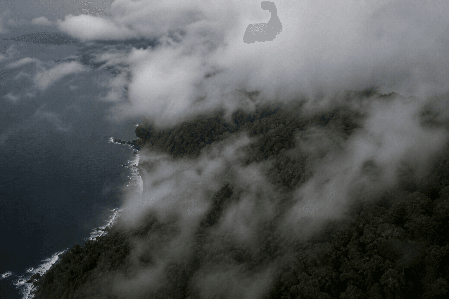 Vista aérea de un bosque tropical del Pacífico colombiano parcialmente cubierto por nubes bajas