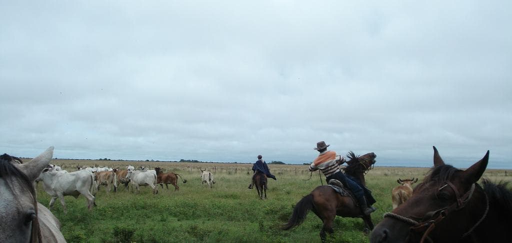 Cómo evaluar la tenencia de la tierra antes de priorizar un área para restauración ecológica