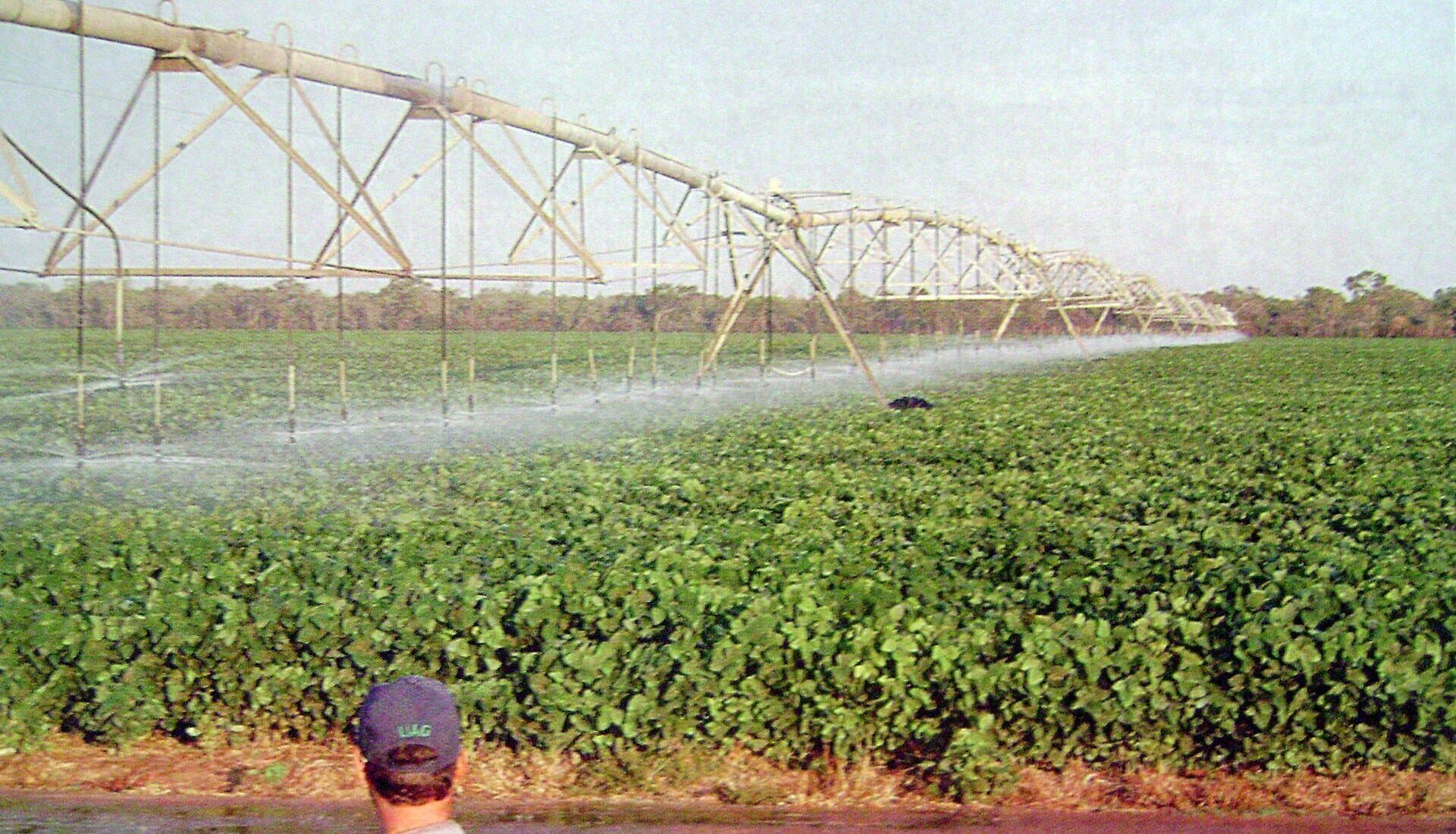 Un productor observa un lote de soya con riego por pivote central en Formosa, Argentina