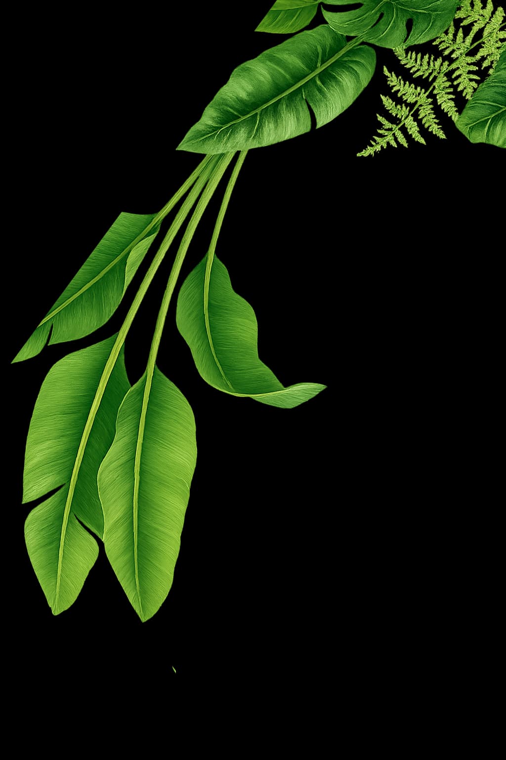 Follaje superior derecho