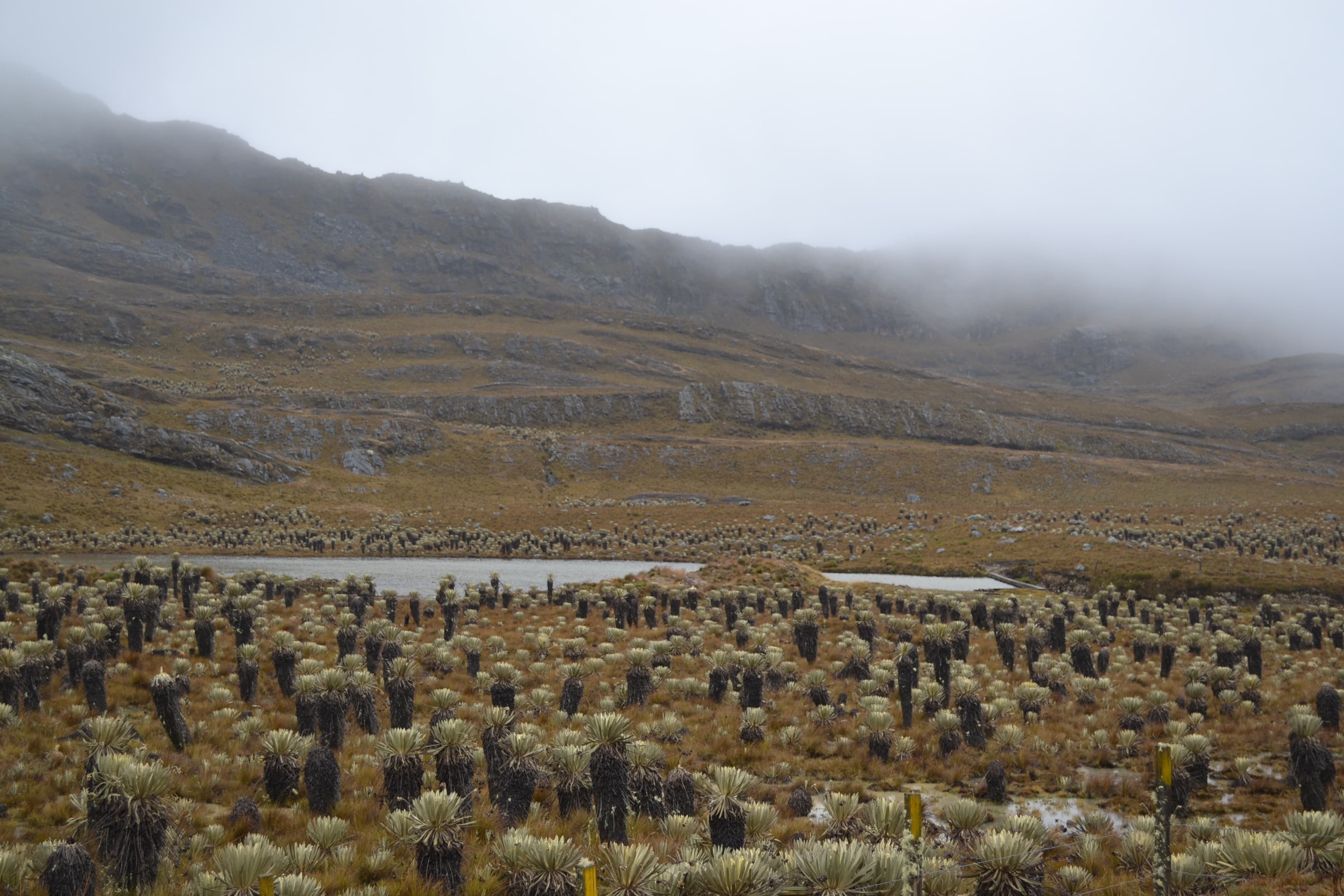 El nuevo ministro de Ambiente ya está en el cargo: agua, biodiversidad, comunidades, y un fracking que no decide su despacho