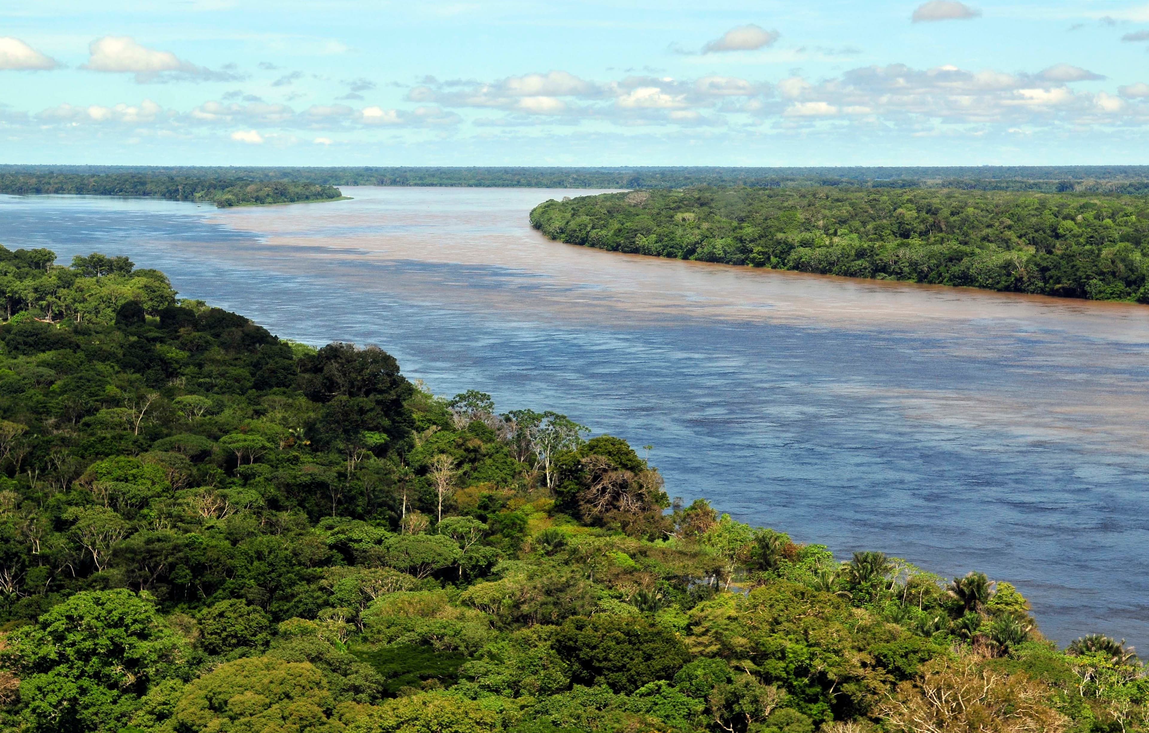 Alemania confirma 20 millones de euros para una tercera fase de REM Visión Amazonía: cuándo llega el dinero y cómo se cobra