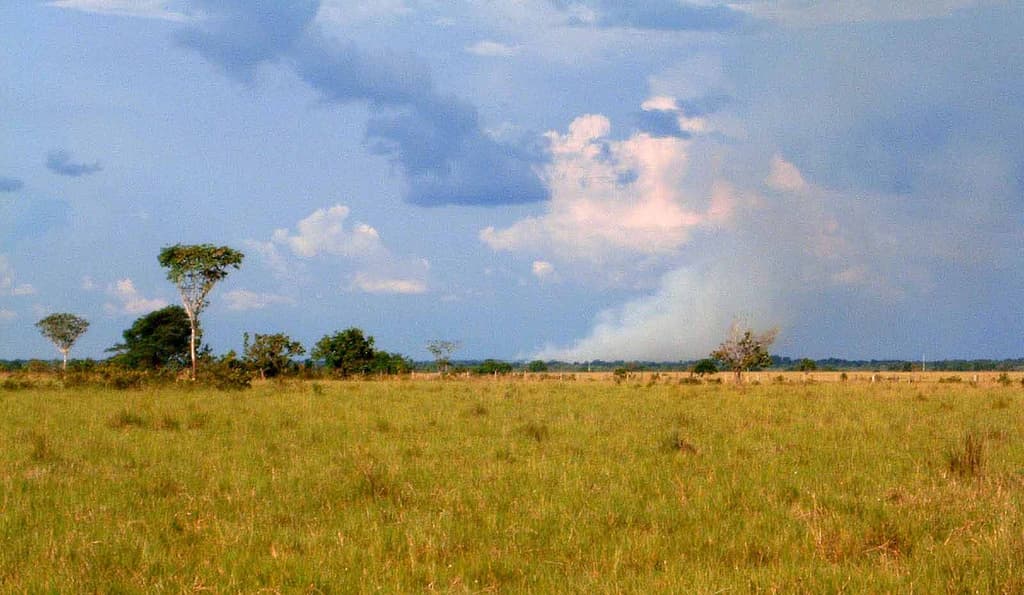 44.000 hectáreas, ocho baldíos y un juicio ambiental: el caso que enfrenta a una colonia menonita con el pueblo sikuani en el Meta