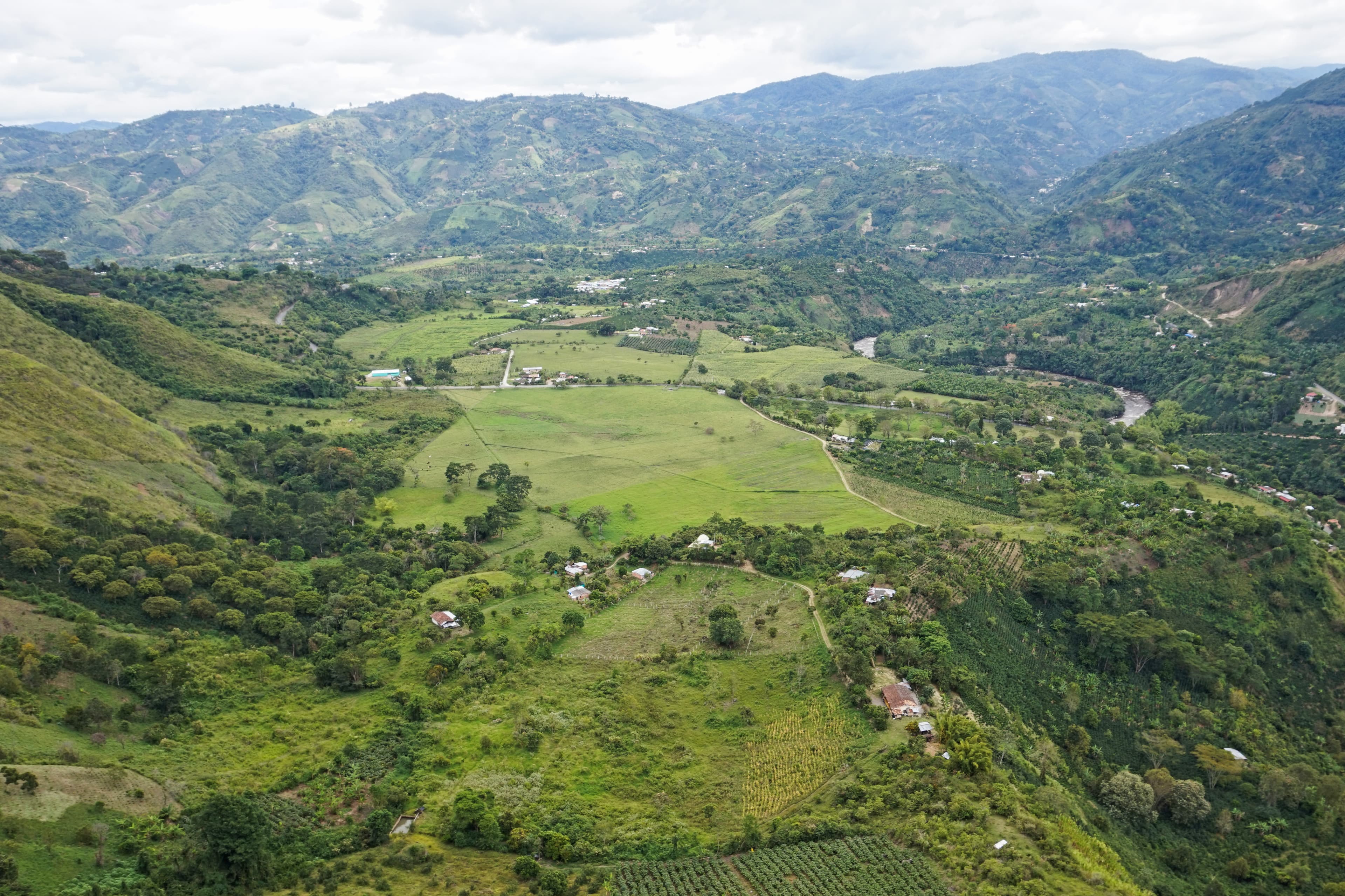 Estudio de impacto ambiental en Colombia: los 12 elementos que exige el decreto y los plazos reales de la licencia