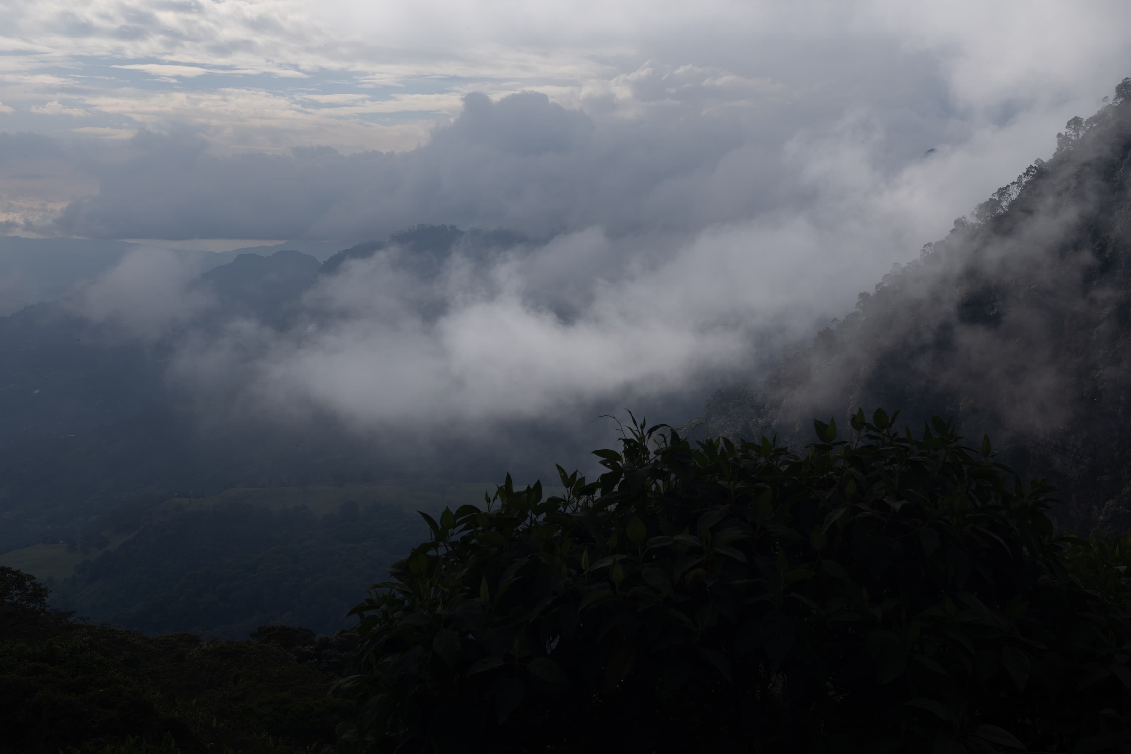 Los créditos de biodiversidad llegan a Colombia: qué son y por qué el propio Ministerio de Ambiente pide cautela