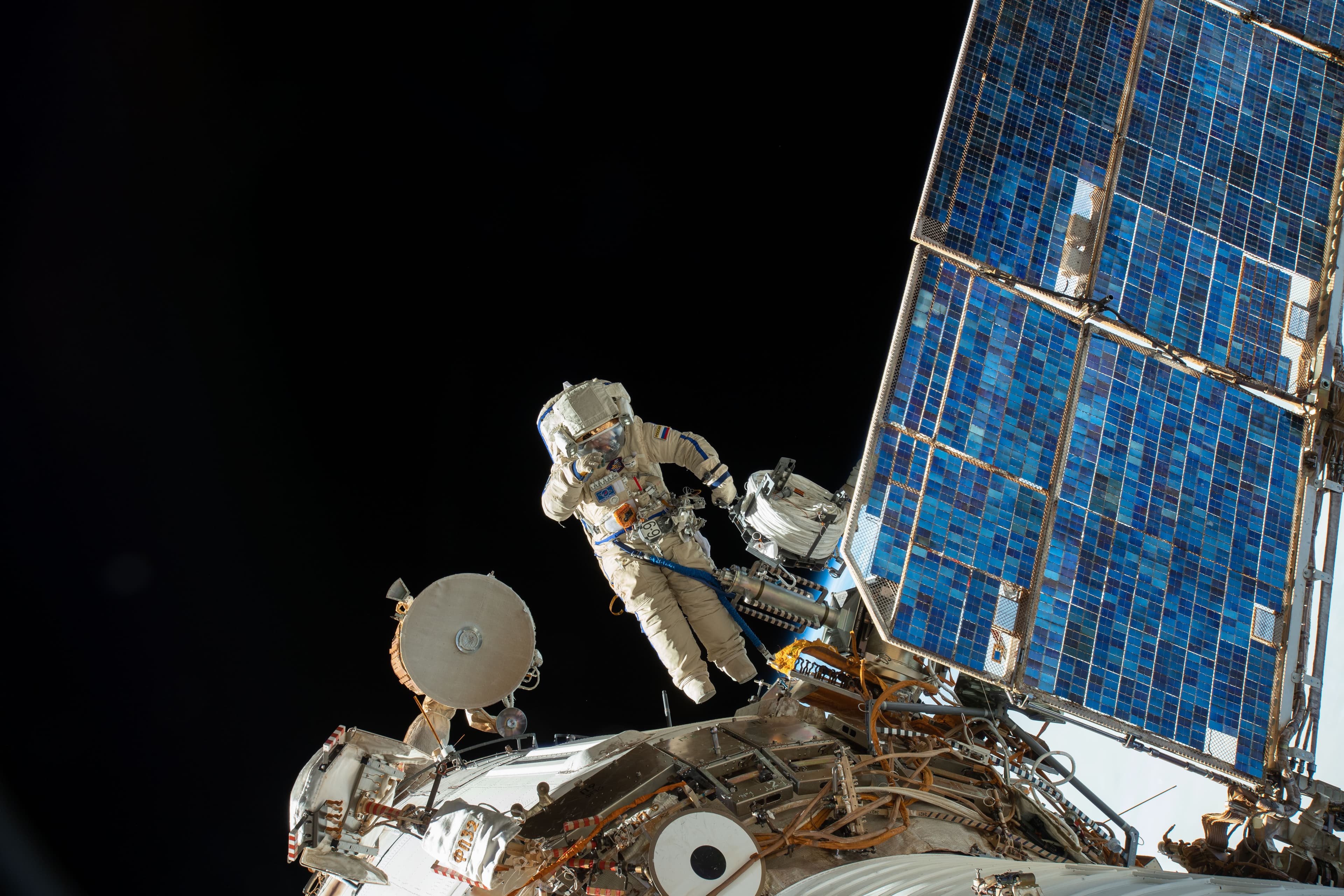 El transmisor satelital para animales más liviano pesa 4 gramos, y aun así deja fuera a la mayoría de las especies