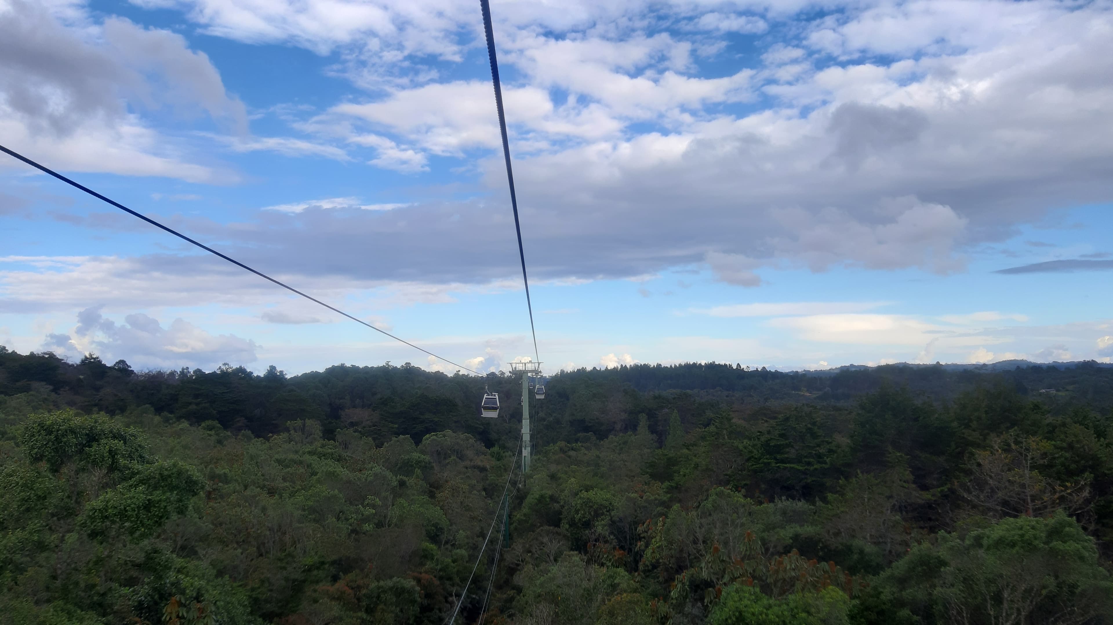 PSABio: Medellín abre el primer pago por servicios ambientales de Colombia dedicado solo a biodiversidad